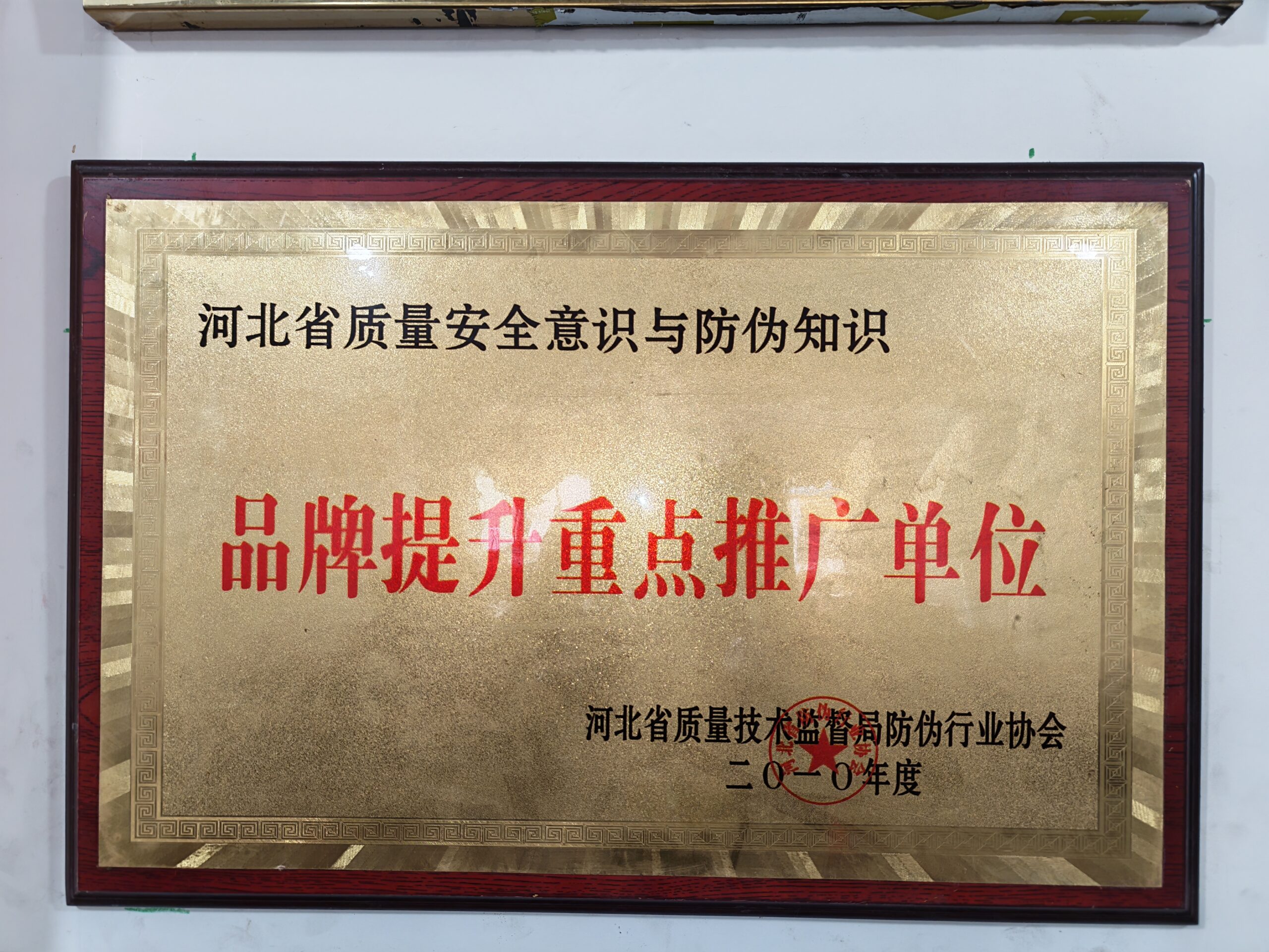 品牌提升重点推广单位